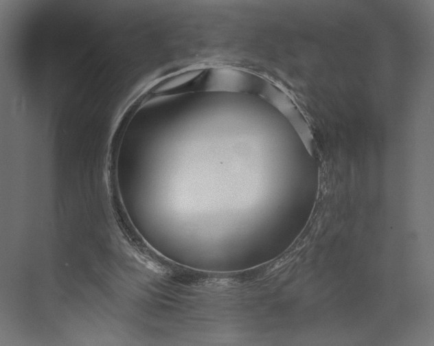 X0000073830152200609071524