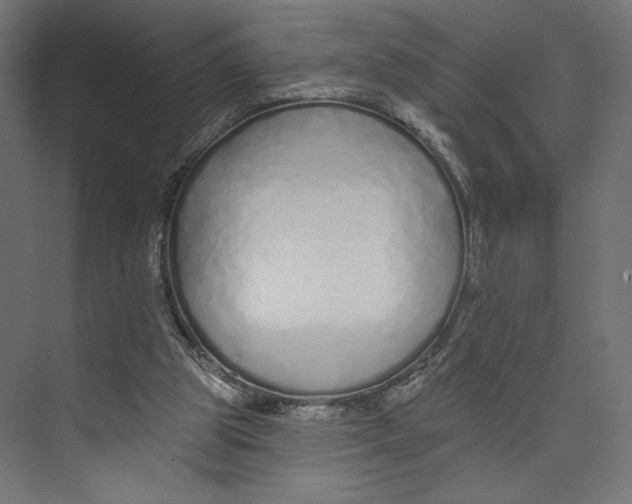 X0000073830153200609071524