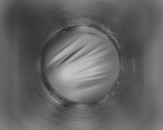 X0000073830154200609071524