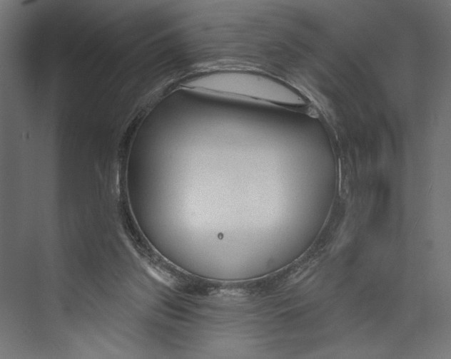 X0000073830157200609071524