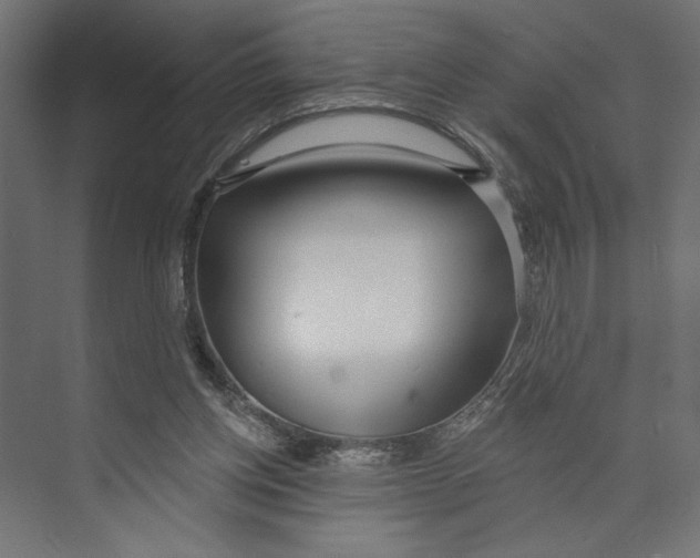 X0000073830158200609071524