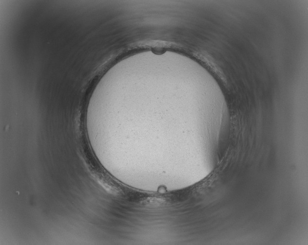 X0000073830159200609071524