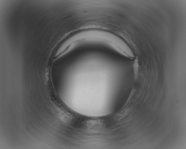 X0000073830160200609071524