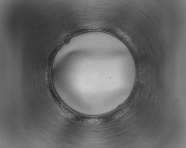 X0000073830161200609071524