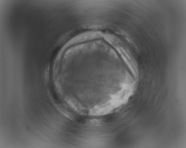 X0000073830163200609071524