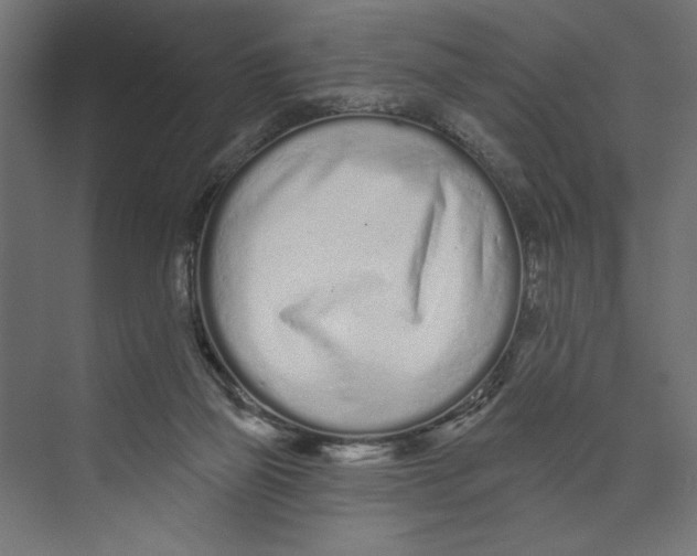 X0000073830165200609071524