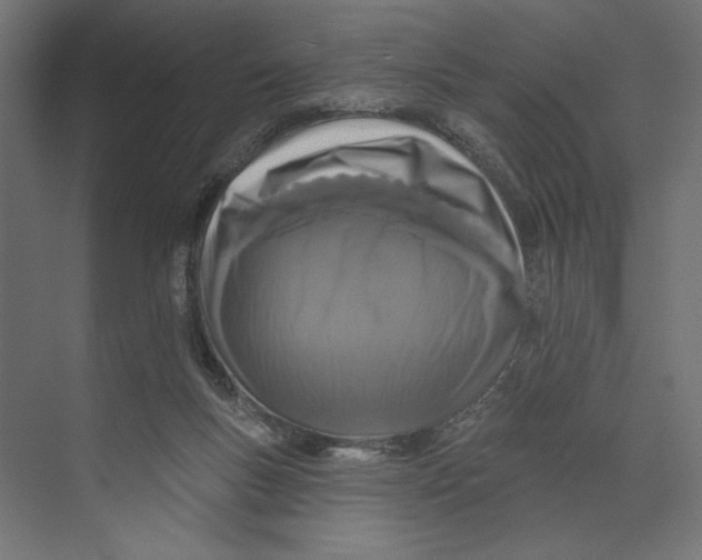 X0000073830167200609071524