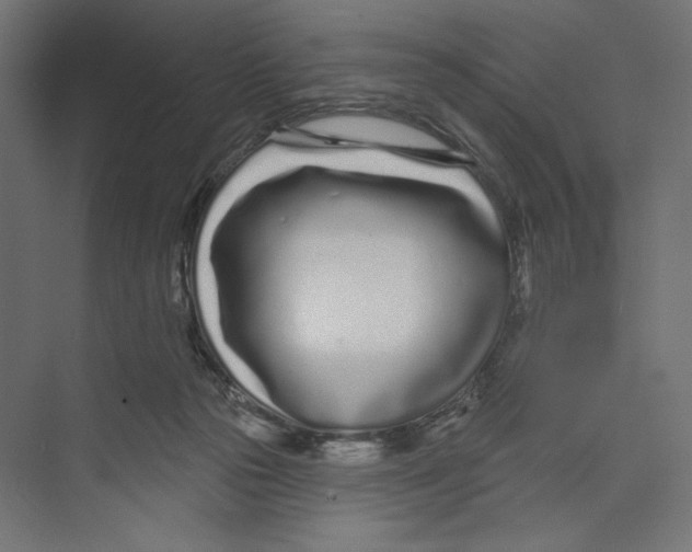 X0000073830169200609071524