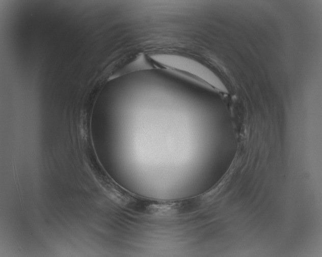 X0000073830170200609071524