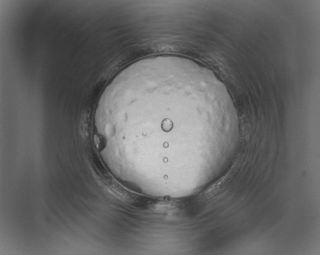 X0000073830171200609071524