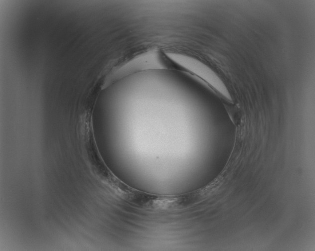 X0000073830172200609071524