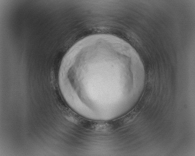 X0000073830173200609071524