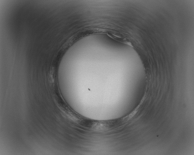 X0000073830174200609071524