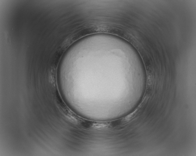 X0000073830175200609071524