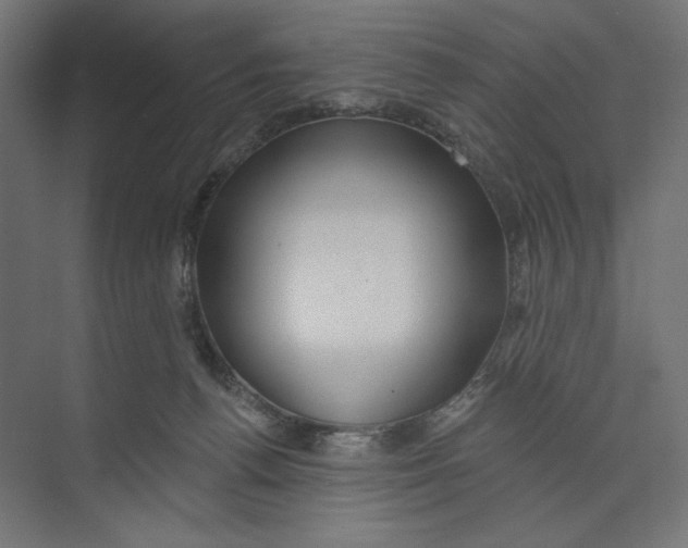 X0000073830176200609071524