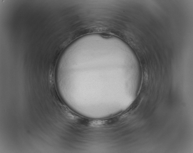 X0000073830177200609071524