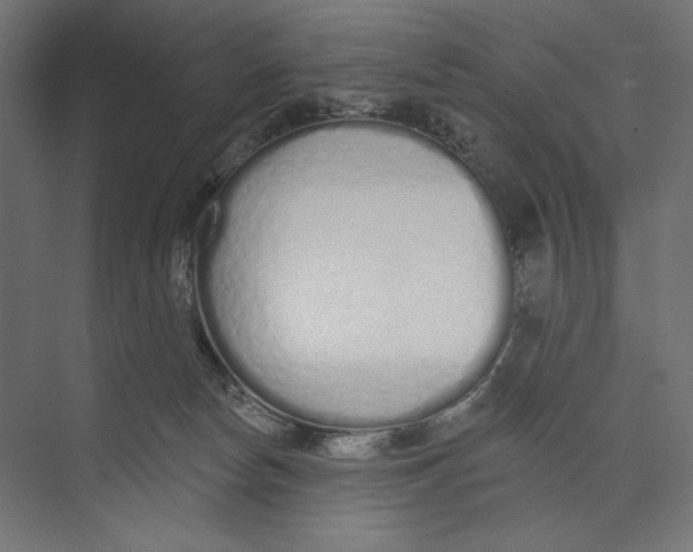 X0000073830178200609071524