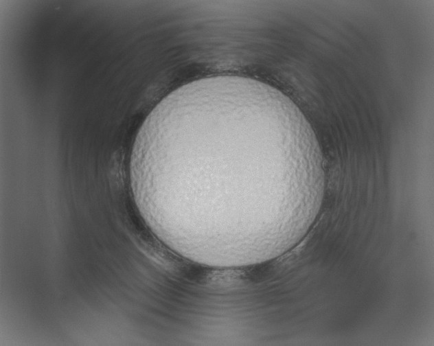 X0000073830179200609071524