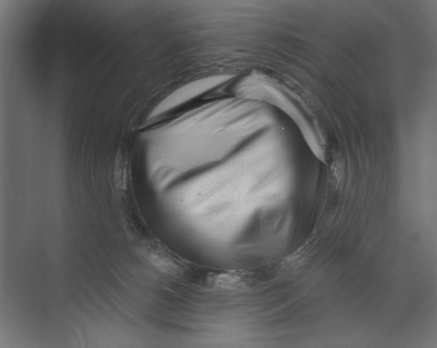 X0000073830180200609071524