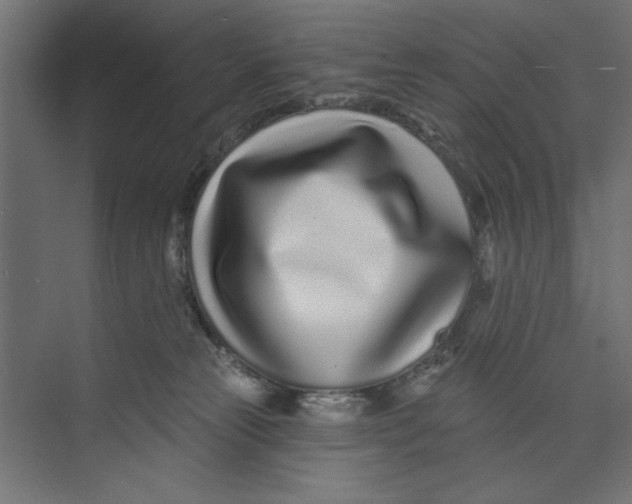 X0000073830181200609071524