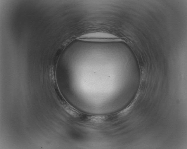 X0000073830182200609071524