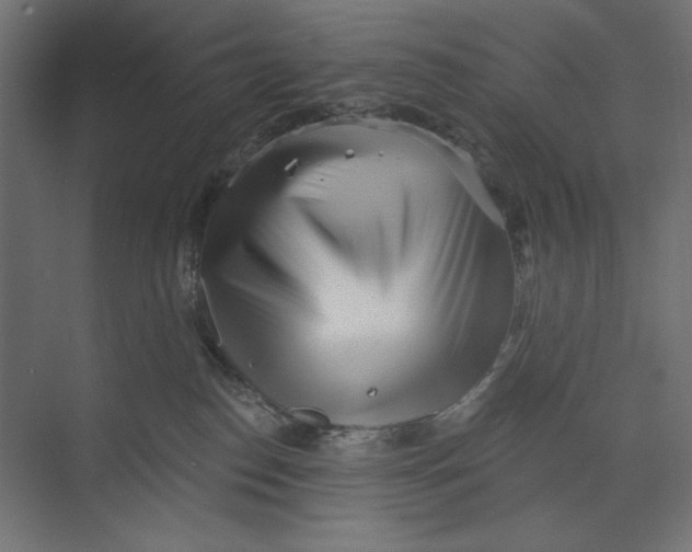 X0000073830186200609071524