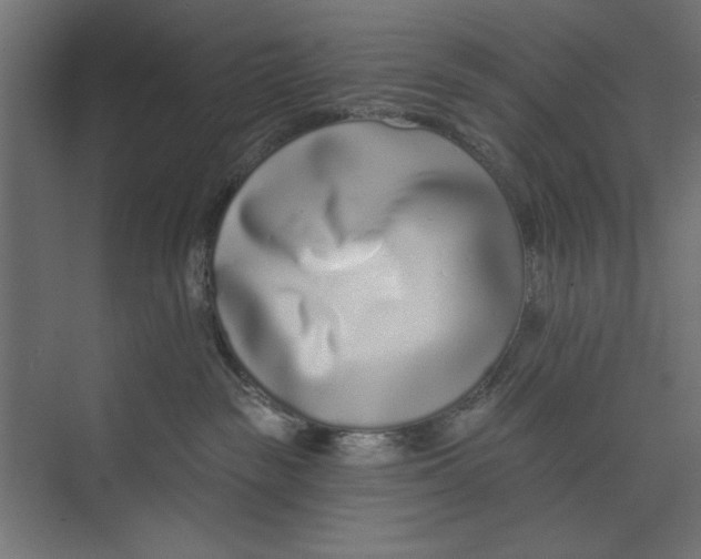 X0000073830189200609071524