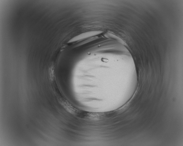 X0000073830190200609071524