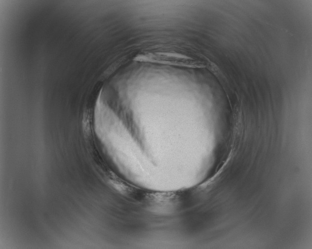 X0000073830191200609071524