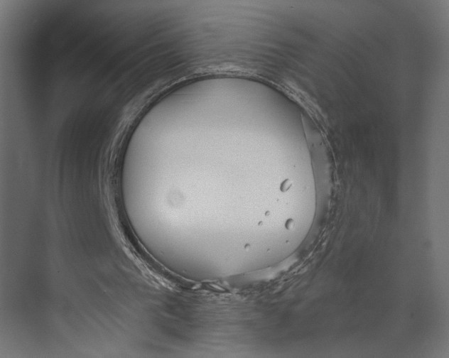 X0000073830193200609071524