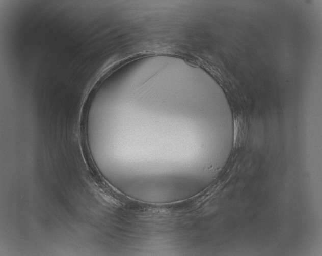 X0000073830195200609071524