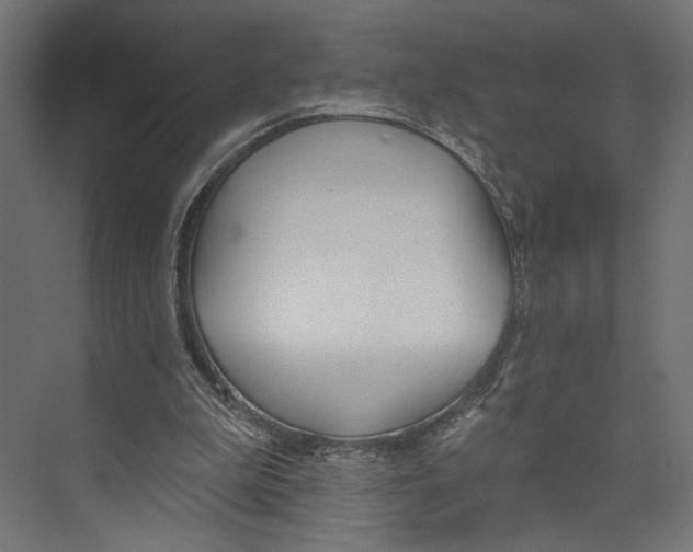 X0000073830199200609071524