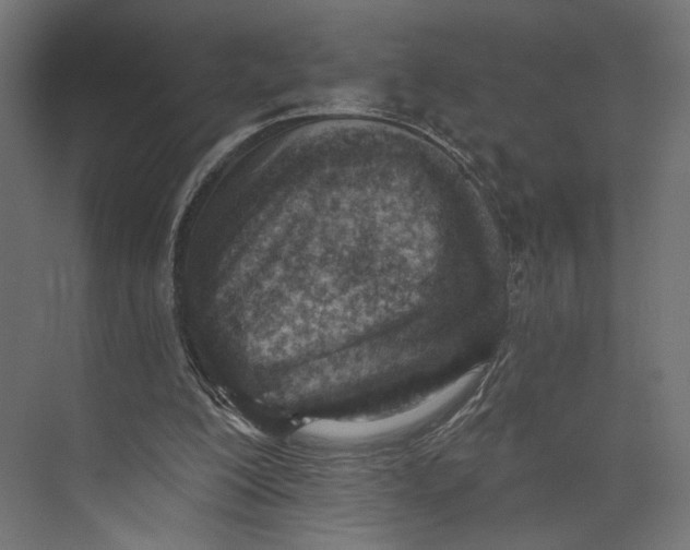 X0000073830200200609071524