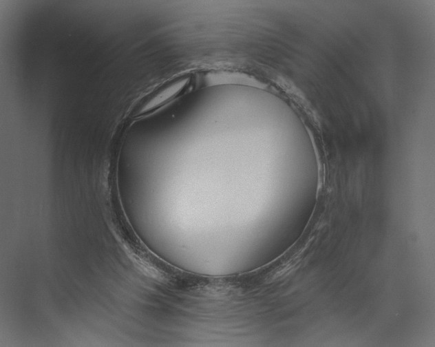 X0000073830201200609071523