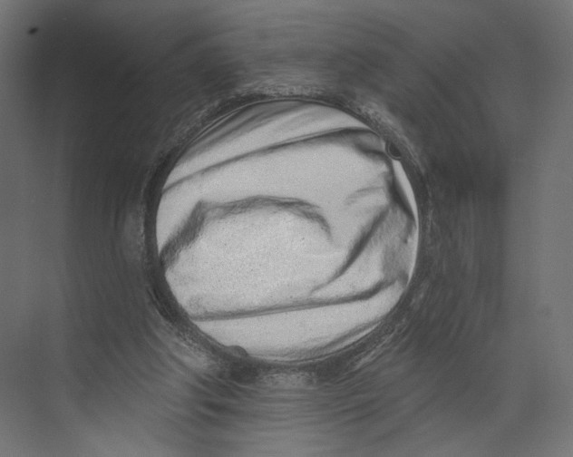 X0000073830202200609071523