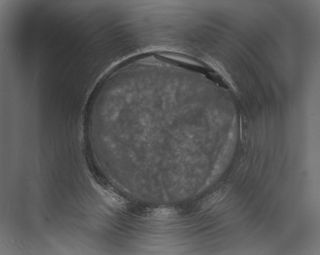 X0000073830204200609071523