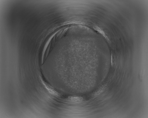 X0000073830205200609071523