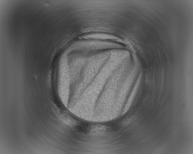 X0000073830206200609071523