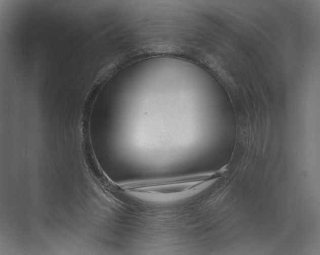 X0000073830207200609071523