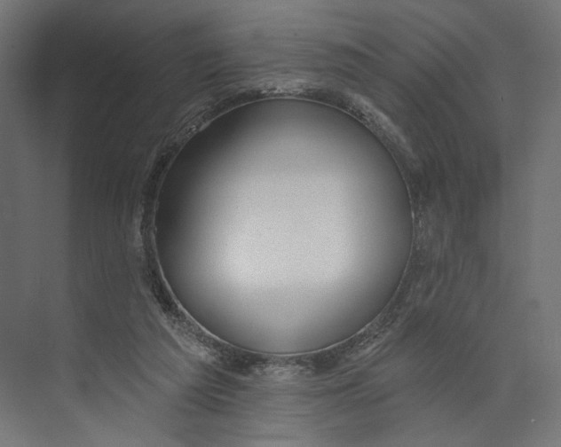 X0000073830209200609071523