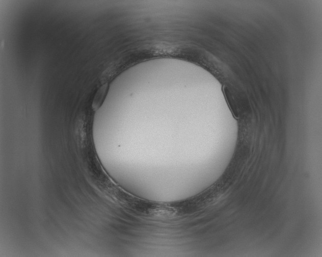 X0000073830215200609071523