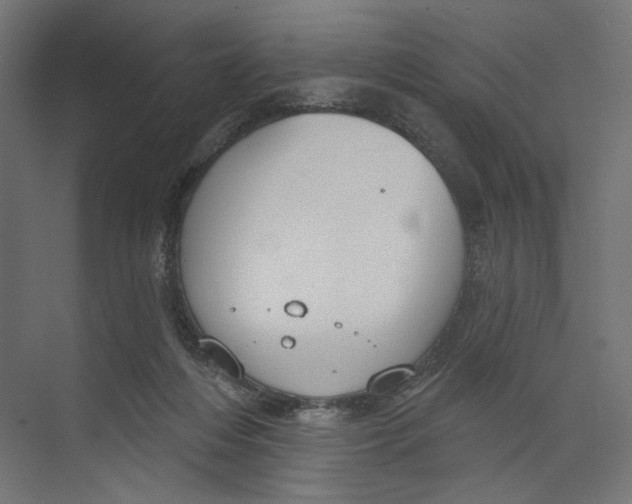 X0000073830216200609071523