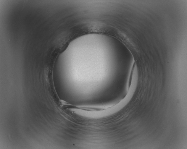 X0000073830217200609071523