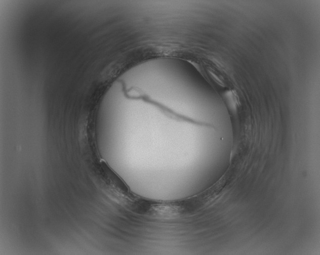 X0000073830221200609071523