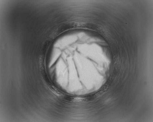 X0000073830222200609071523