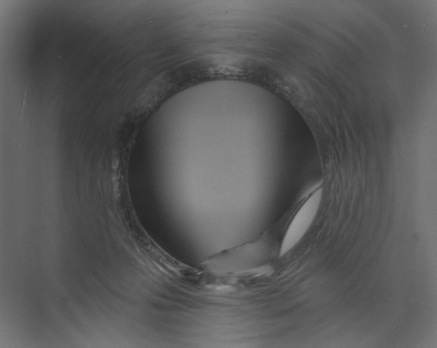 X0000073830223200609071523