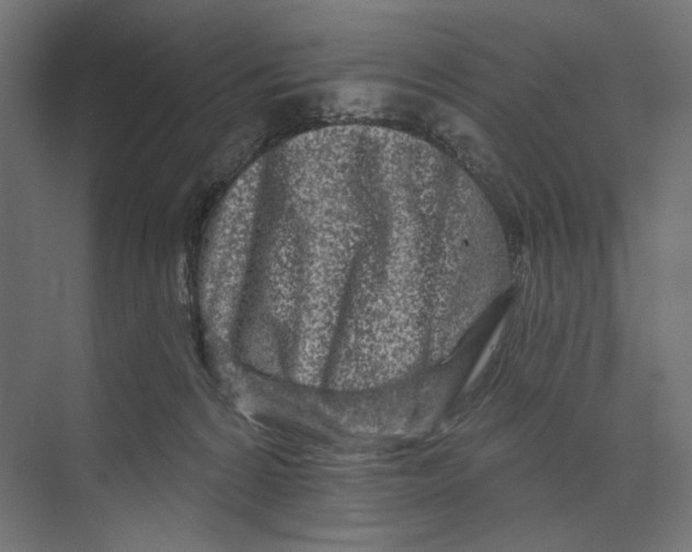 X0000073830224200609071523