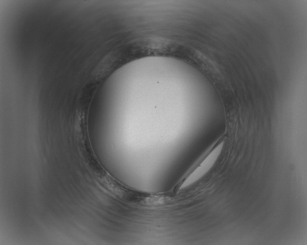 X0000073830225200609071523