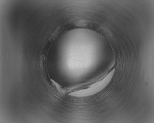 X0000073830229200609071523