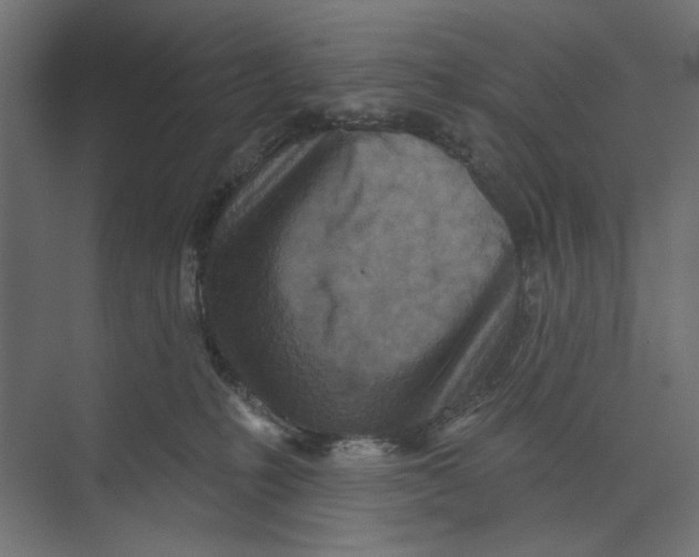 X0000073830231200609071523